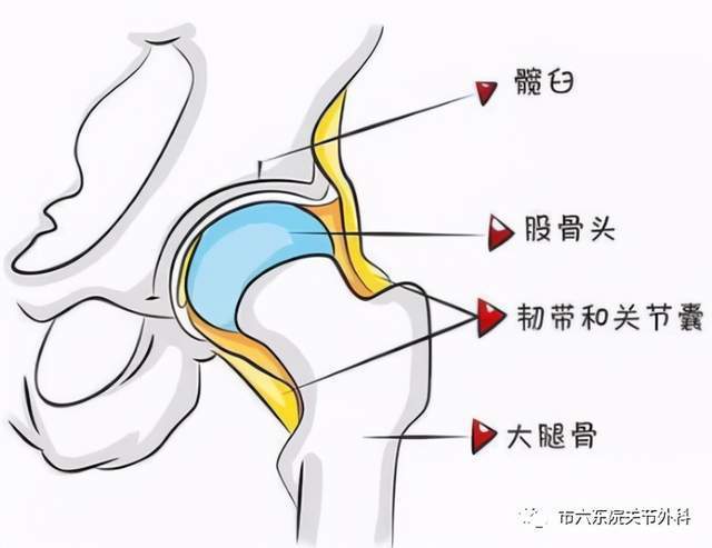 破“颈”重圆：微创手术治疗股骨颈骨折！