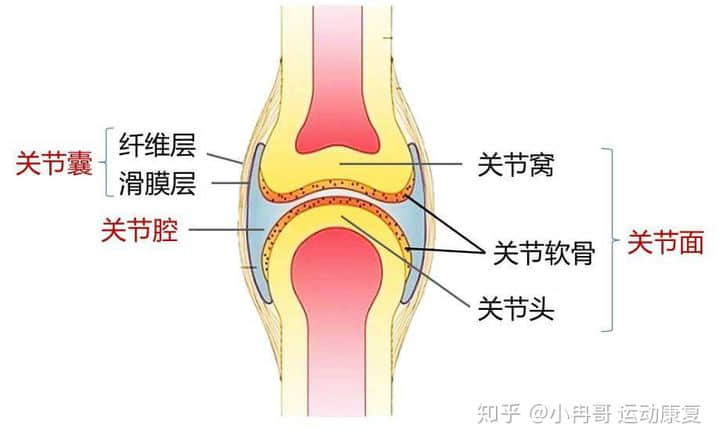 膝痛膝肿膝难受，患上滑膜炎怎么办？