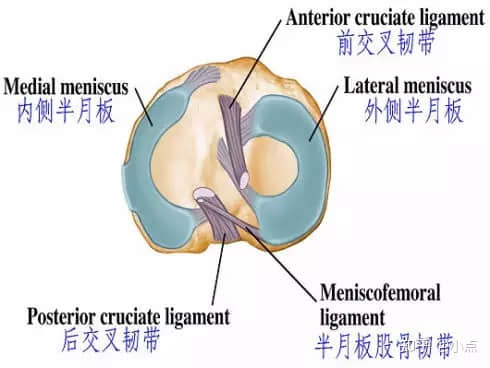 半月板损伤怎么办？