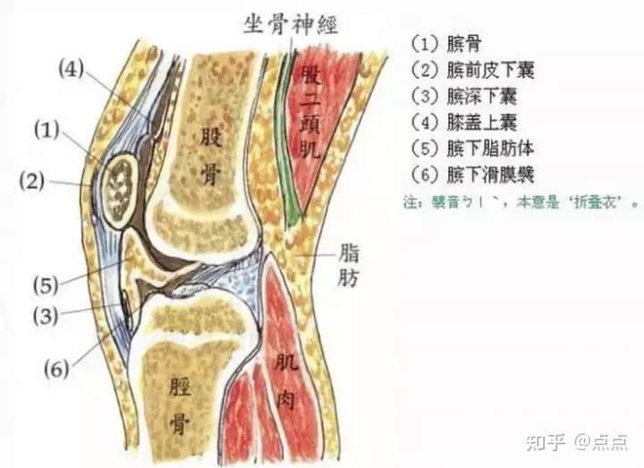 膝盖受伤怎样保守恢复？能自愈吗？